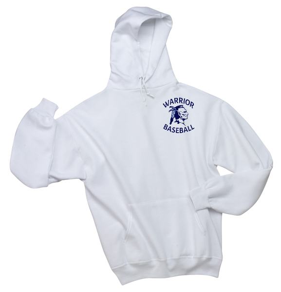 AYL Baseball Flag Hooded Sweatshirt