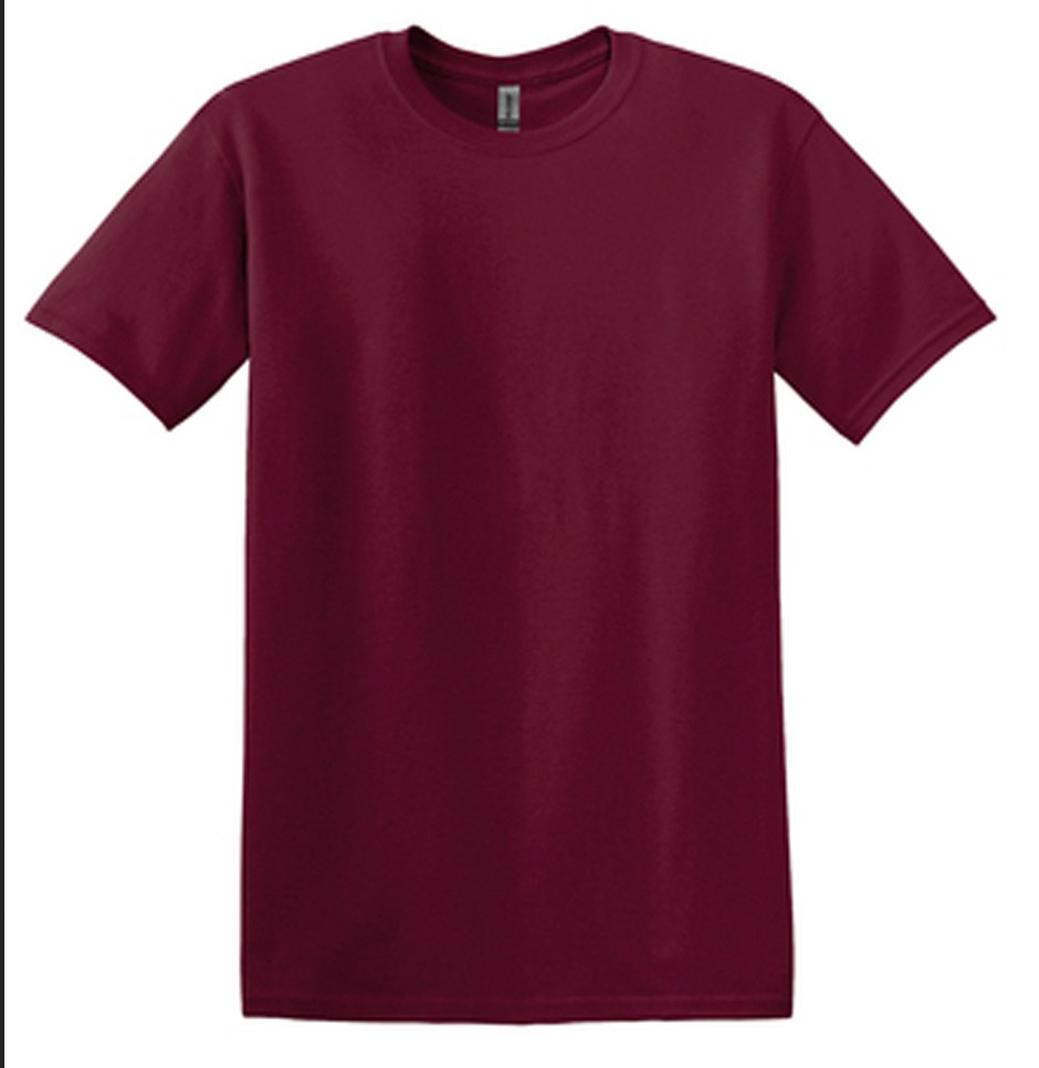 Full Chest Logo - Integrated Services Housing Softstyle T-Shirt